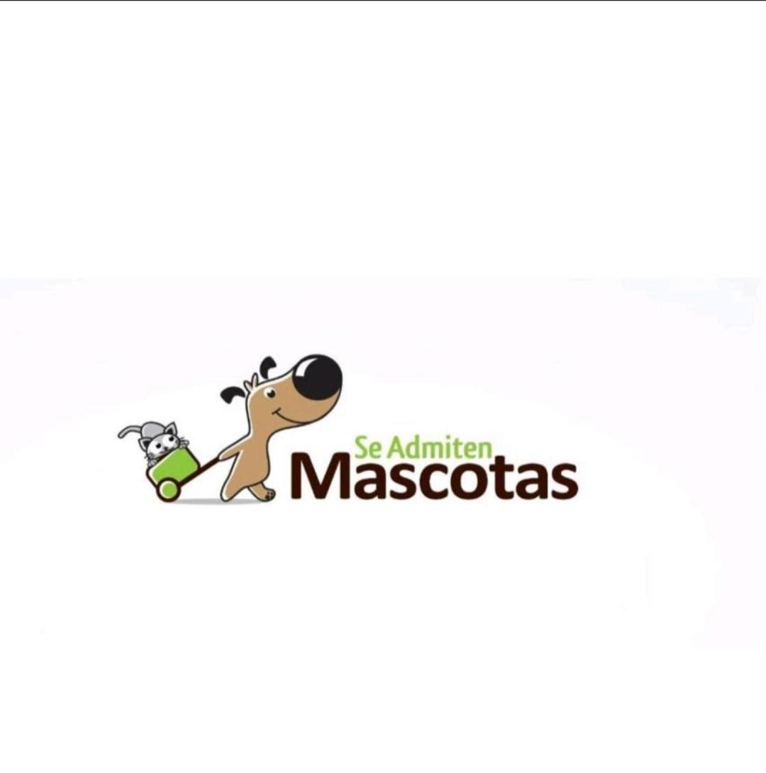 Camino De La Sierra Mascotas Si Apartamento La Zubia  Exterior foto